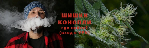 СК Арсеньев
