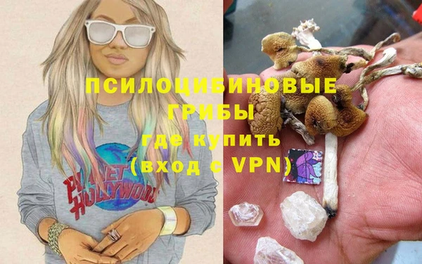 СК Арсеньев