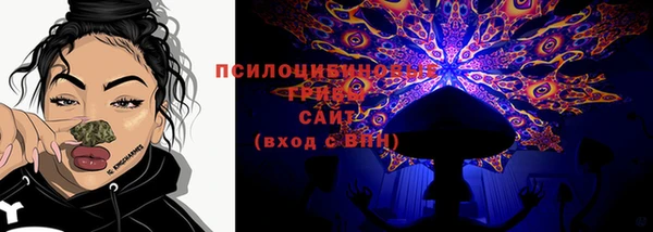 ешки Иннополис